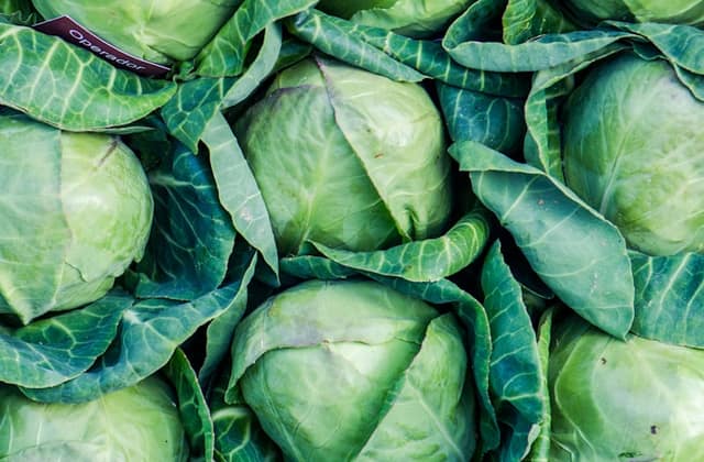 Cabbages