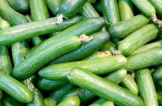 Cucumbers