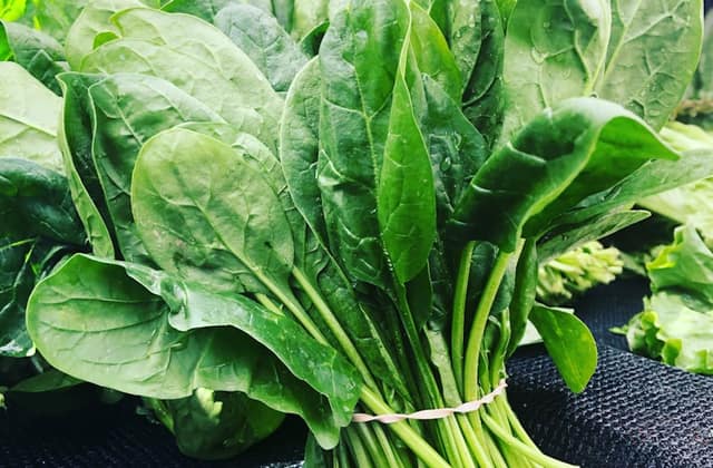 Greens