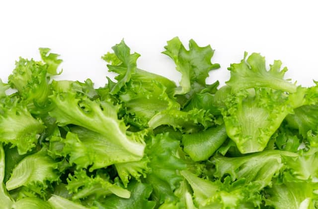 Lettuce
