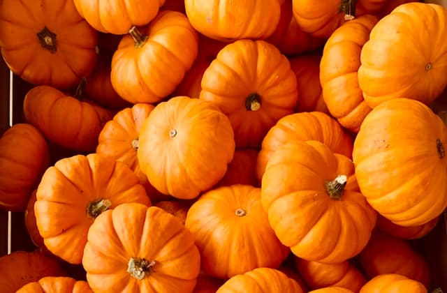 Pumpkins